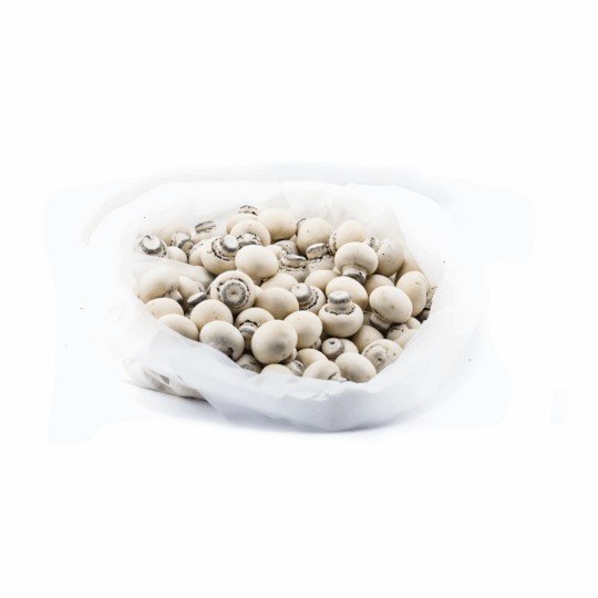 Elit Pralin Filled Milk Chocolate Mushroom 2 kg